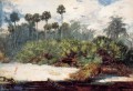 In einem Florida Jungle Realismus maler Winslow Homer